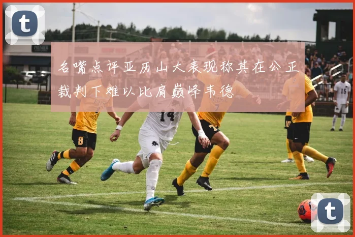 名嘴点评亚历山大表现称其在公正裁判下难以比肩巅峰韦德