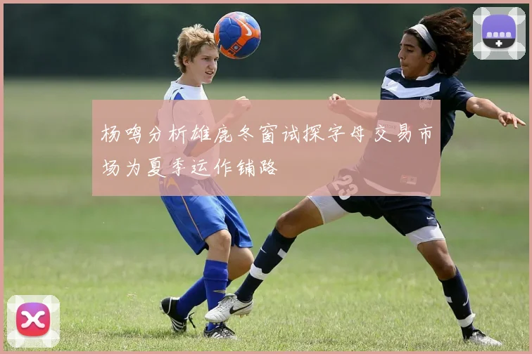 杨鸣分析雄鹿冬窗试探字母交易市场为夏季运作铺路