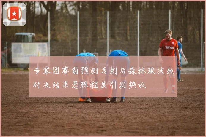 专家团赛前预测马刺与森林狼次轮对决结果悬殊程度引发热议